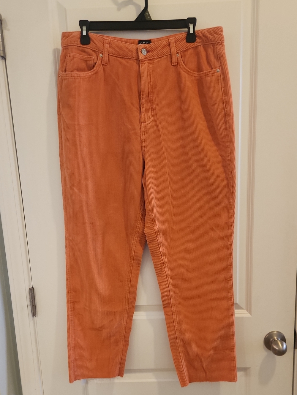 Urban Outfitters BDG Orange Corduroy Pants